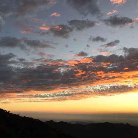 Hotel Matla Road I 1 Kasauli Zewnętrze zdjęcie