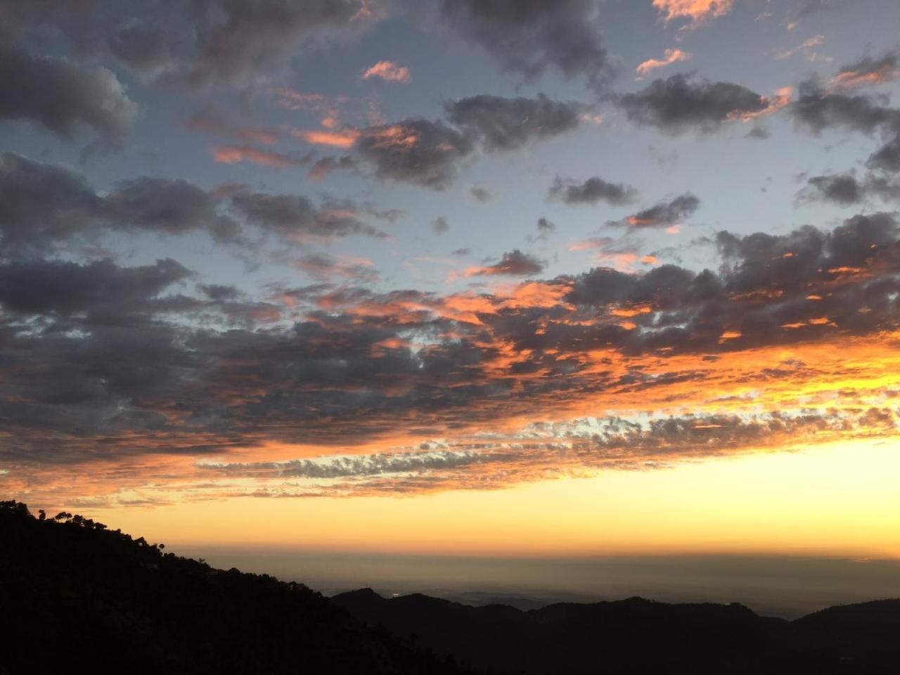 Hotel Matla Road I 1 Kasauli Zewnętrze zdjęcie